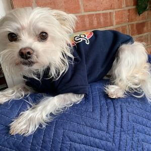 Meet your Posher, Lynda